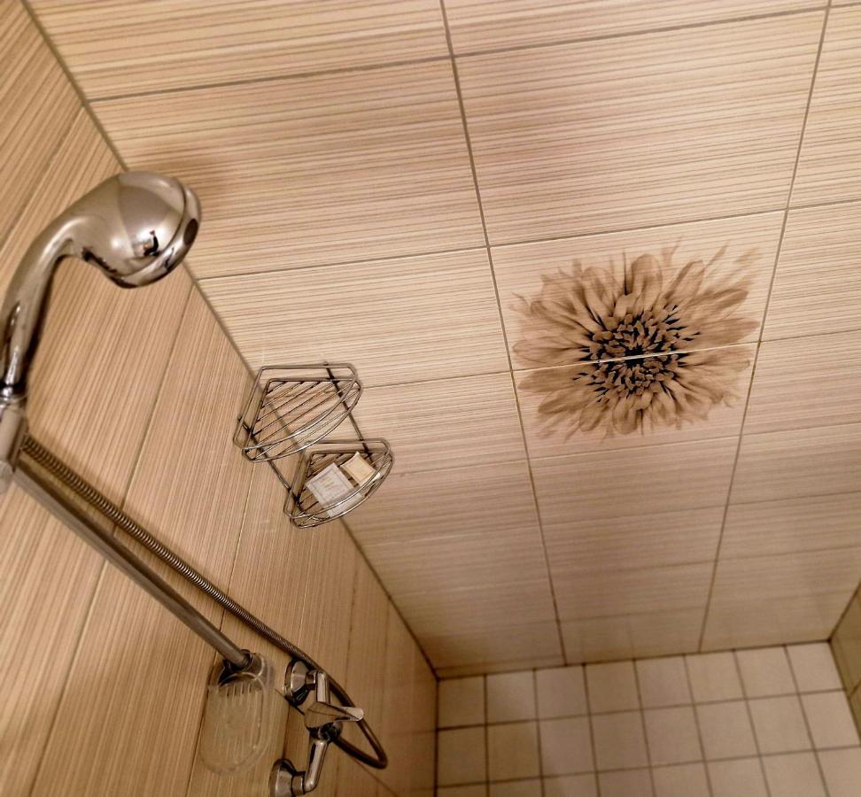 Linos Apartamentai Druskininkai Luaran gambar